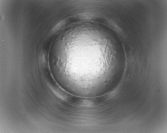 X0000082690166200702021336