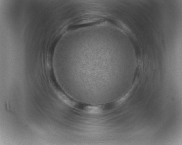 X0000082690170200702021336