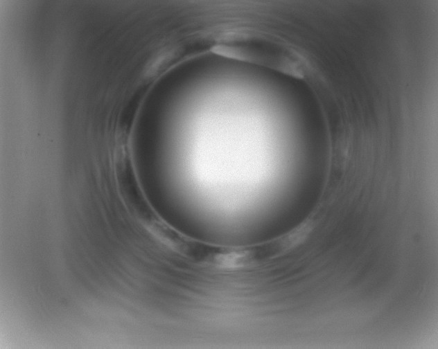 X0000082690172200702021336