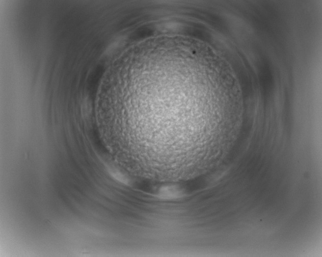 X0000082690173200702021337