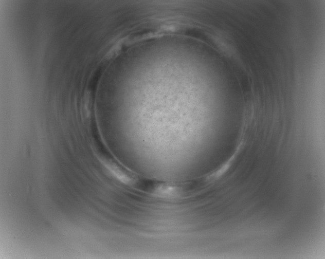 X0000082690174200702021337