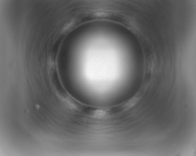 X0000082690176200702021337