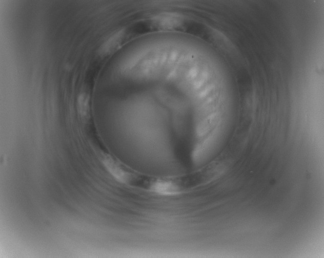 X0000082690177200702021337