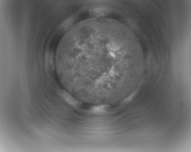 X0000082690178200702021337