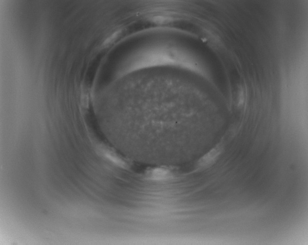 X0000082690180200702021337