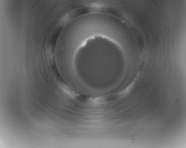 X0000082690186200702021337