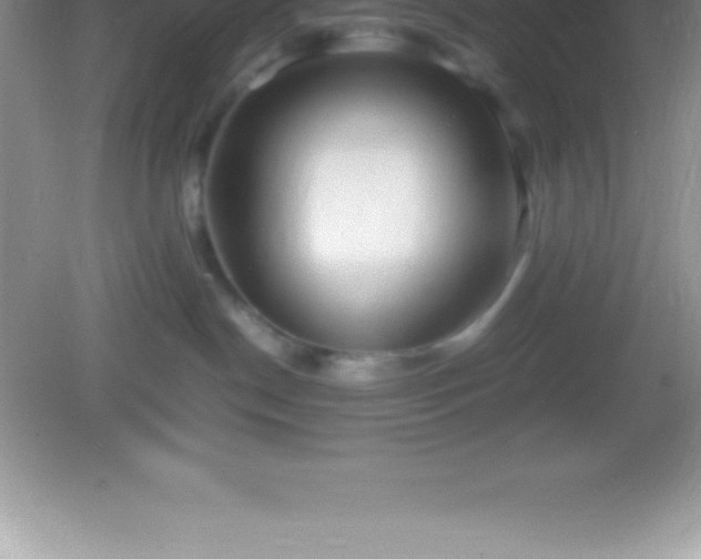 X0000082690190200702021337