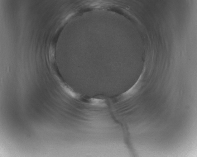 X0000082690192200702021337