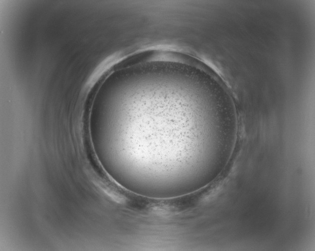 X0000082690199200702021336