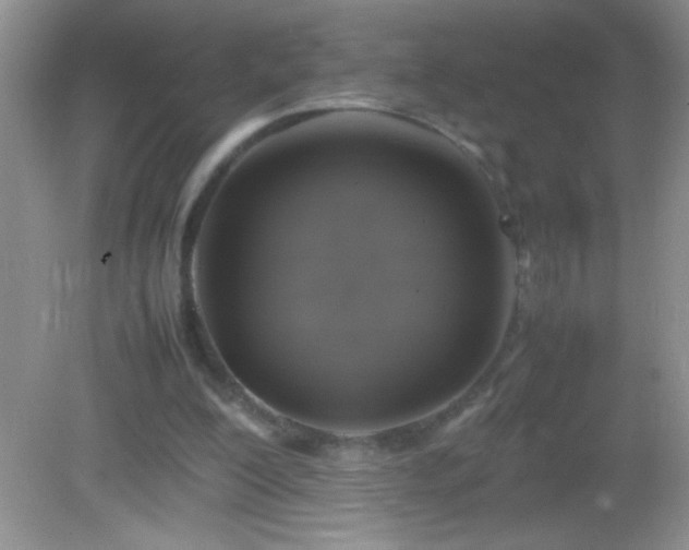 X0000082690200200702021336