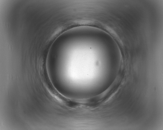 X0000082690201200702021336