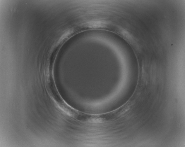 X0000082690202200702021336