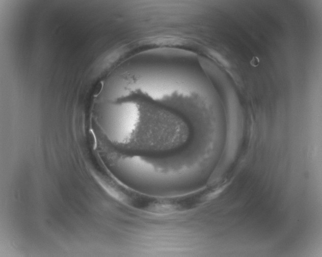 X0000082690205200702021336