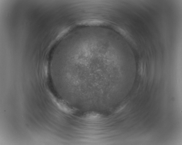 X0000082690206200702021336