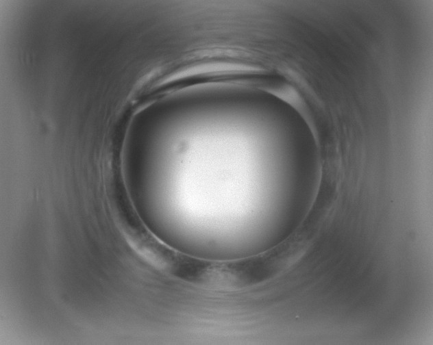 X0000082690207200702021336