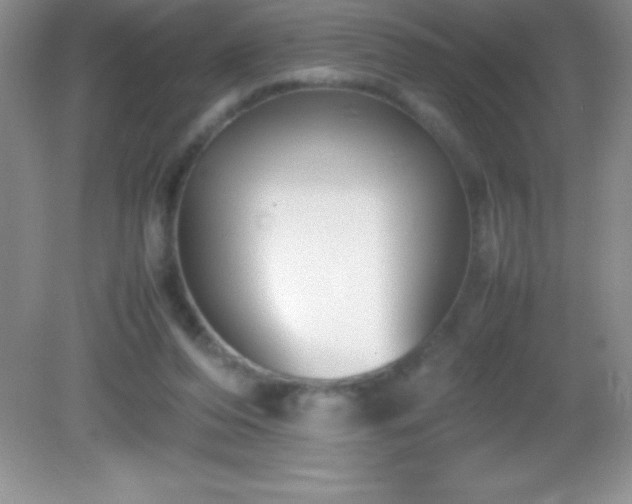 X0000082690208200702021336