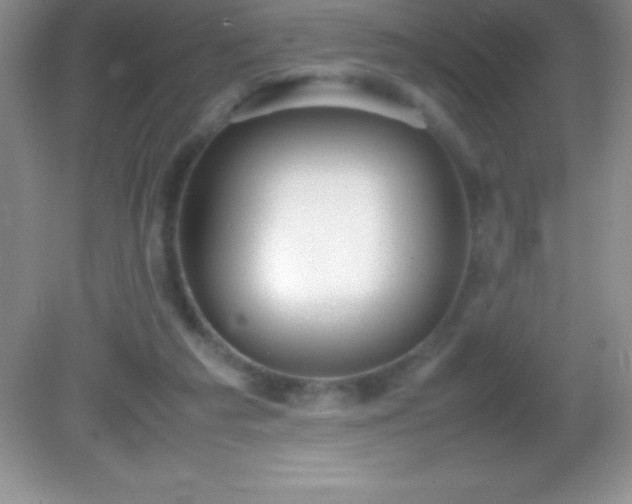 X0000082690209200702021336