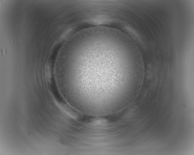 X0000082690210200702021336