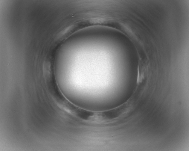 X0000082690211200702021336