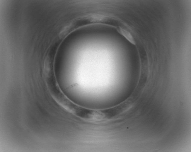 X0000082690215200702021336