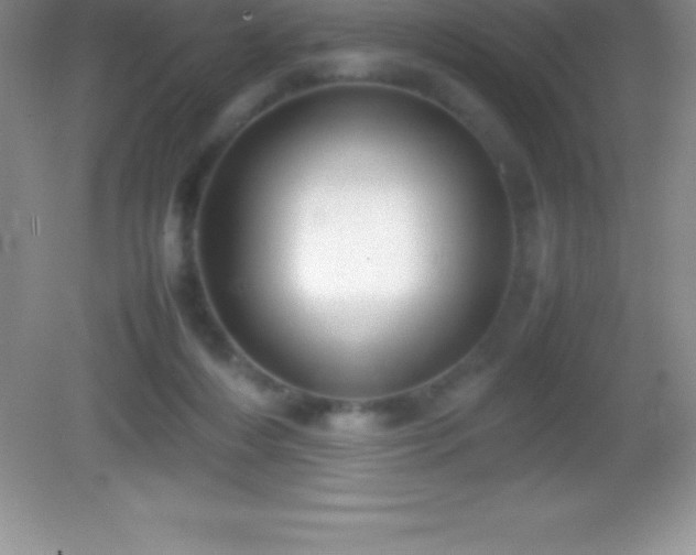 X0000082690216200702021336