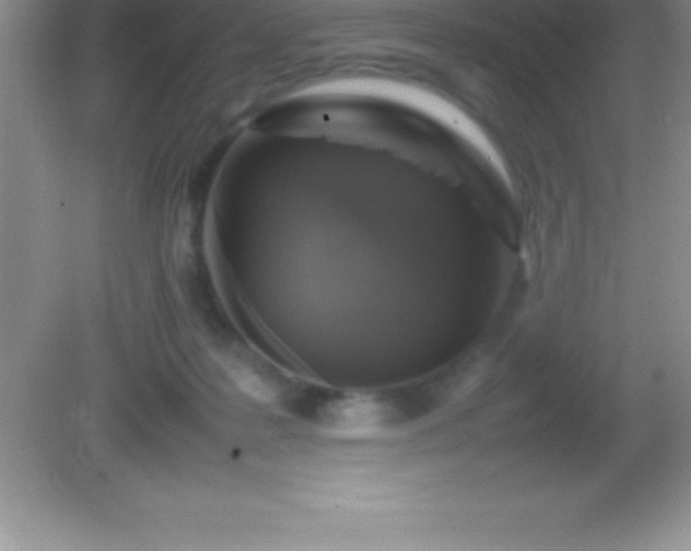 X0000082690219200702021336