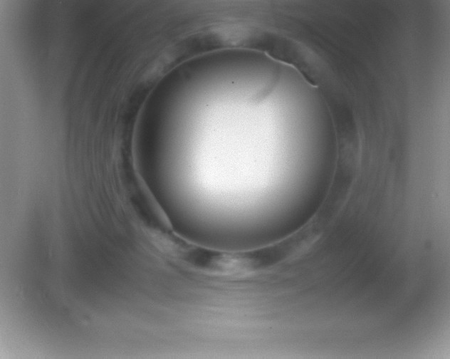 X0000082690221200702021336