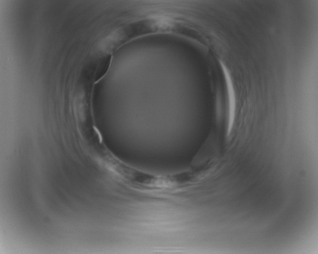 X0000082690223200702021336