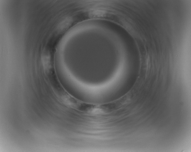 X0000082690224200702021336