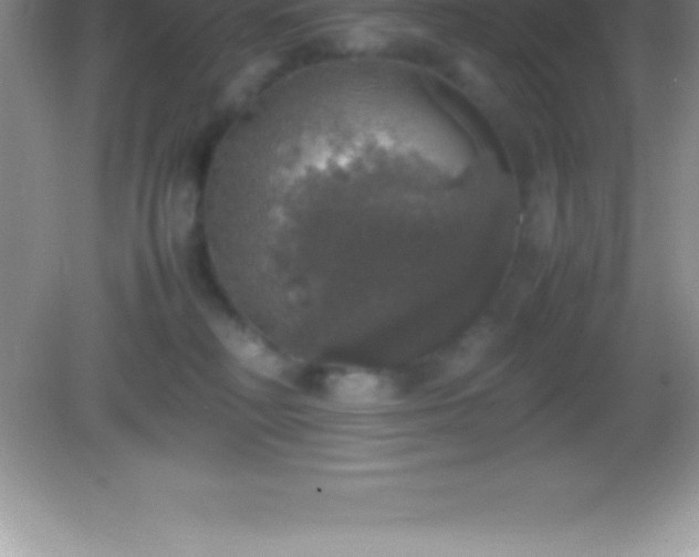 X0000082690230200702021335