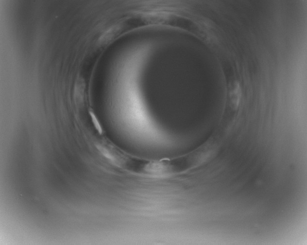 X0000082690231200702021335