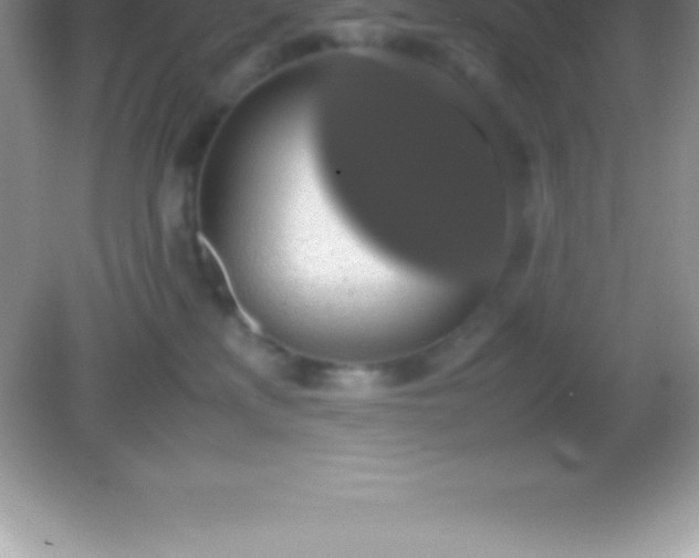 X0000082690233200702021335