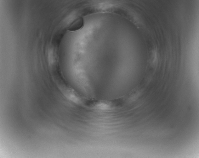 X0000082690236200702021335