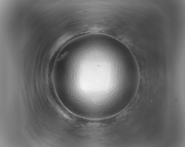 X0000082690242200702021334
