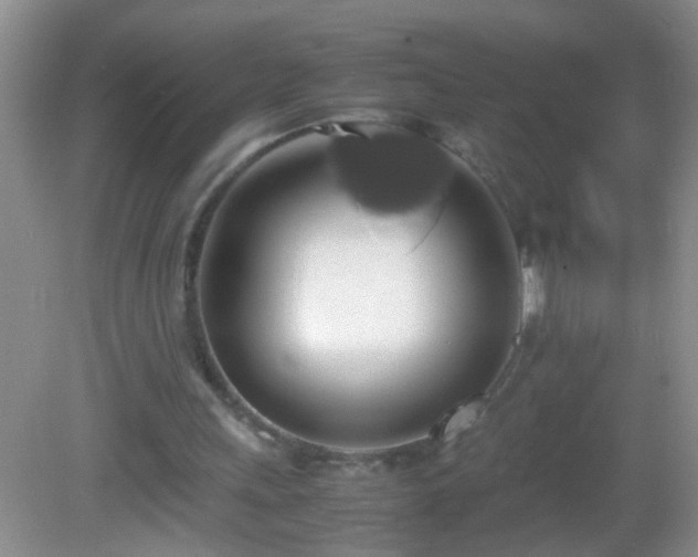 X0000082690243200702021334