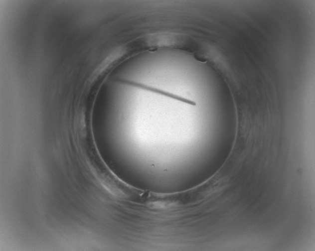 X0000082690251200702021335