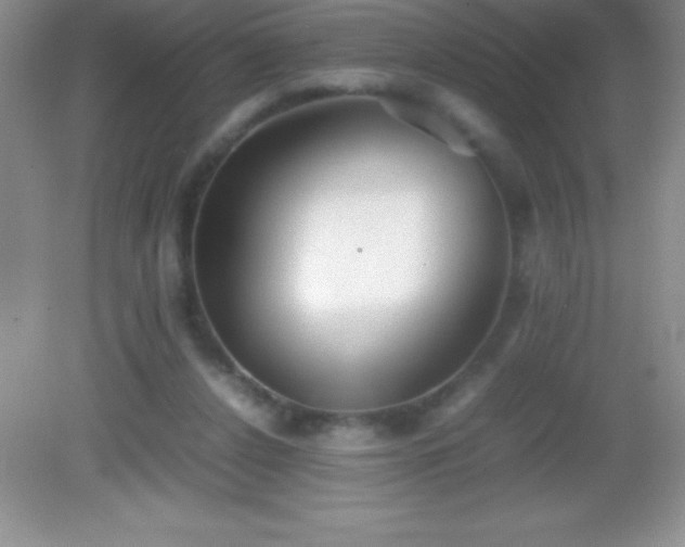 X0000082690256200702021335