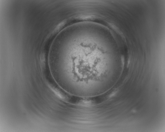 X0000082690260200702021335