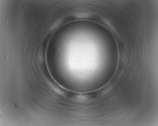 X0000082690261200702021335