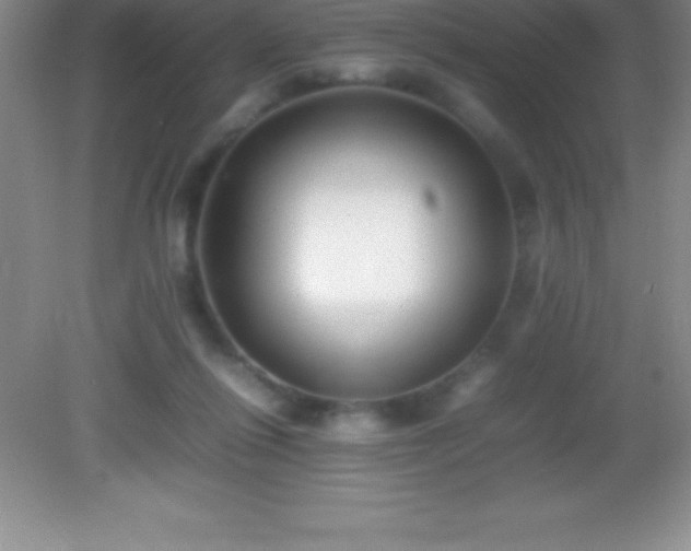 X0000082690262200702021335