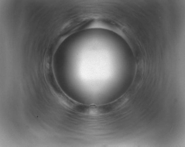 X0000082690264200702021335