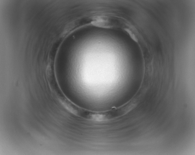 X0000082690265200702021335