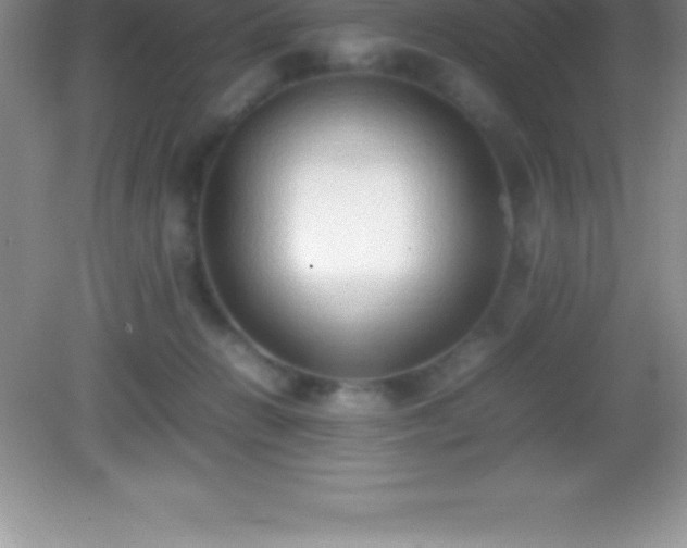 X0000082690270200702021335