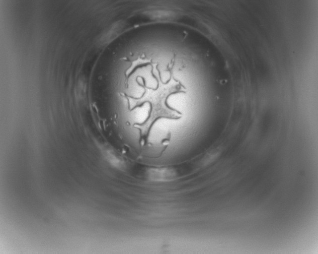 X0000082690281200702021335