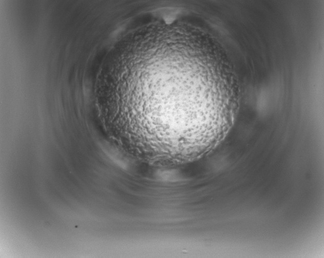 X0000082690283200702021335