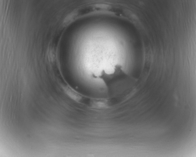 X0000082690285200702021335