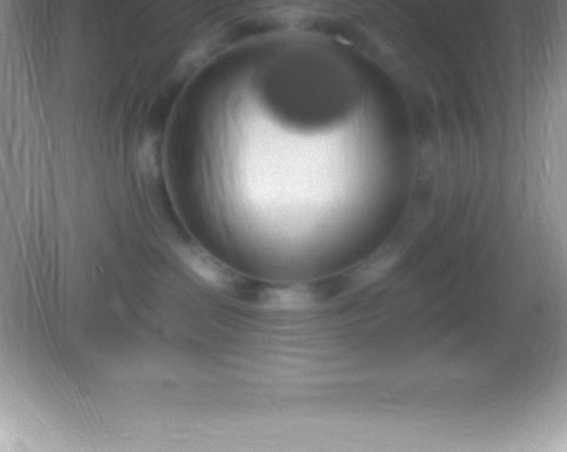 X0000082690286200702021335