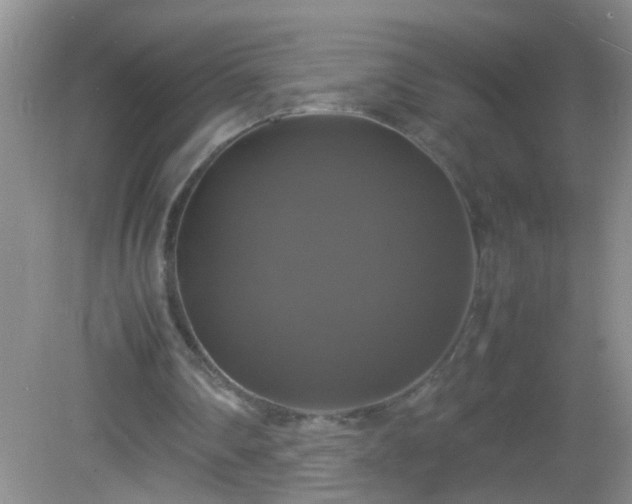 X0000082690290200702021334