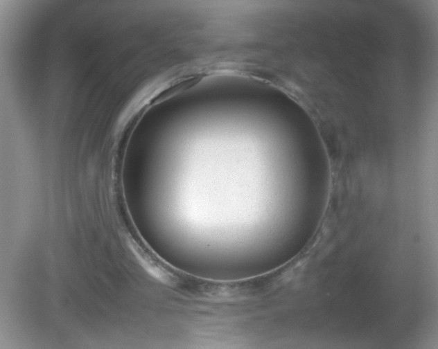 X0000082690293200702021334