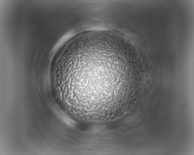X0000082690296200702021334